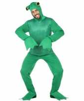 Groene kikker verkleedkostuum volwassenen carnaval