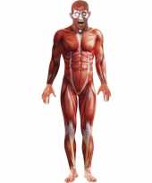 Kostuum halloween body suit anatomische man carnaval