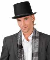 Kostuum hoed goochelaar volwassenen carnaval